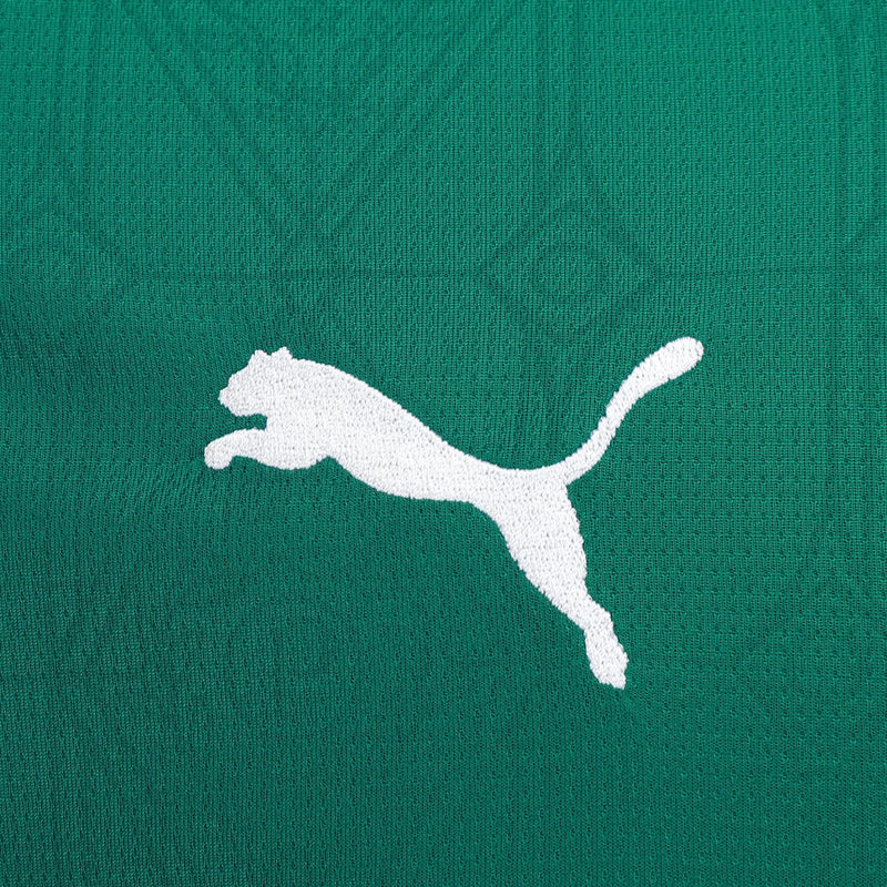 Camisa Palmeiras Home 25/26 - Torcedor Puma Masculina - Verde